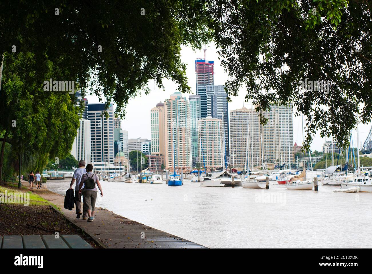 Couple marchant dans les jardins botaniques de Brisbane, Queensland, Australie Banque D'Images