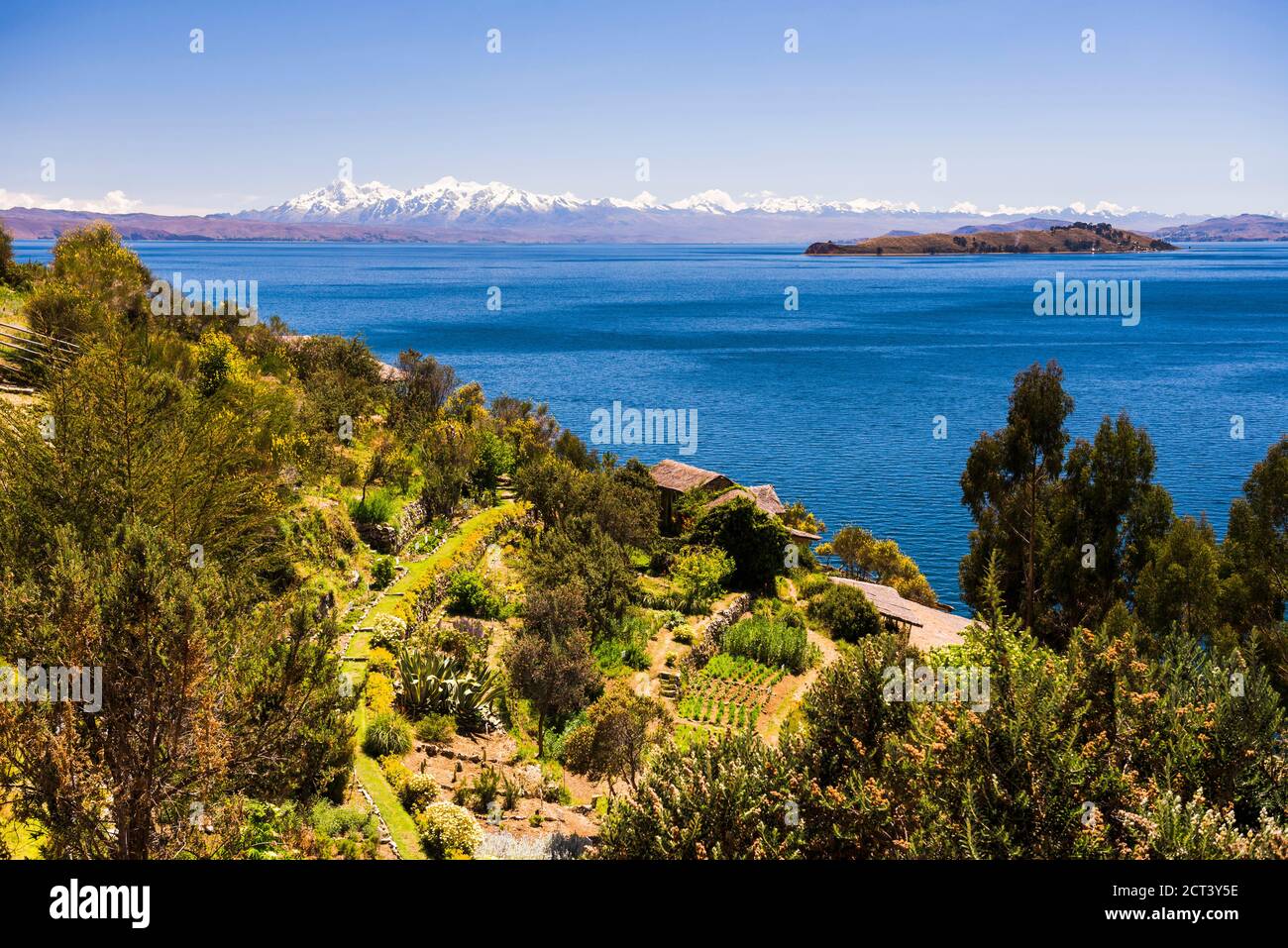 Isla del sol (île du Soleil) terrain de ferme avec Cordillera Real Mountain Range derrière, lac Titicaca, Bolivie, Amérique du Sud Banque D'Images