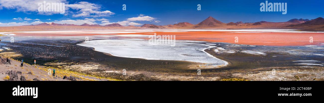 Red Lagoon (Laguna Colorada), un lac salé de l'Altiplano de Bolivie dans la réserve nationale de faune andine Eduardo Avaroa, Amérique du Sud Banque D'Images