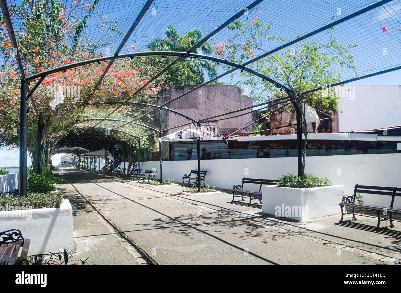 Paseo Esteban Huertas, une célèbre promenade de Casco Viejo près de Plaza de Francia à Panama City. C'est une rue solitaire maintenant pendant la pandémie de Covid-19 Banque D'Images