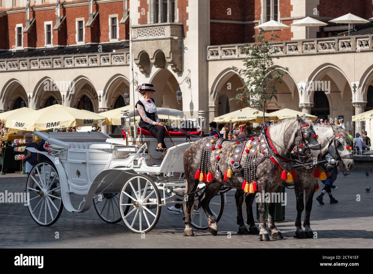 Chevaux en calèche sur la place principale de Cracovie, Pologne Banque D'Images