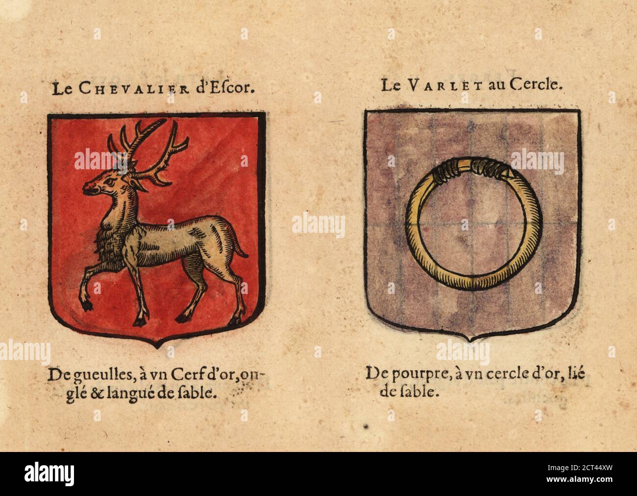 Blason chevaliers de la table ronde Banque de photographies et d’images
