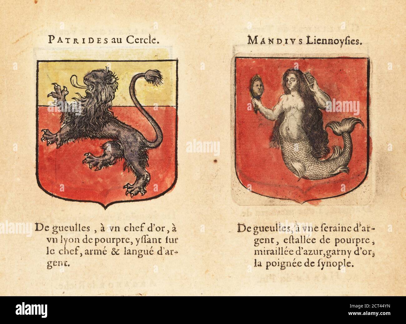 Blason chevaliers de la table ronde Banque de photographies et d’images
