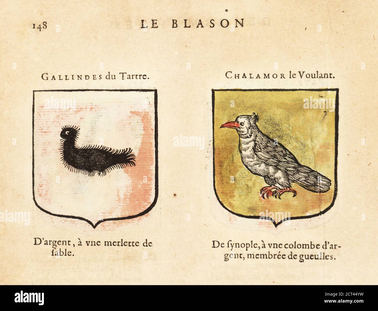 Blason chevaliers de la table ronde Banque de photographies et d’images