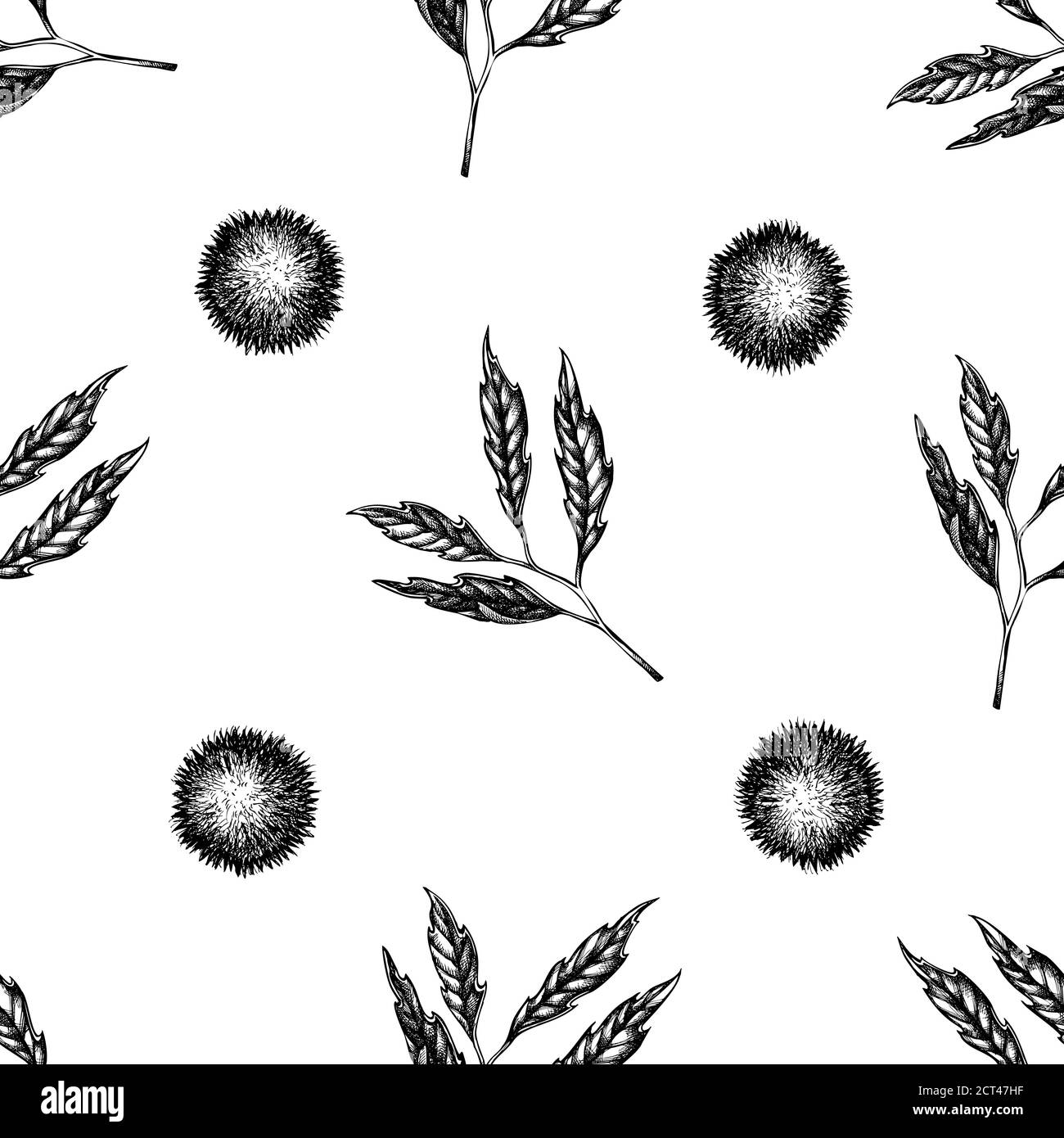 Motif sans couture avec châtaignier noir et blanc Illustration de Vecteur