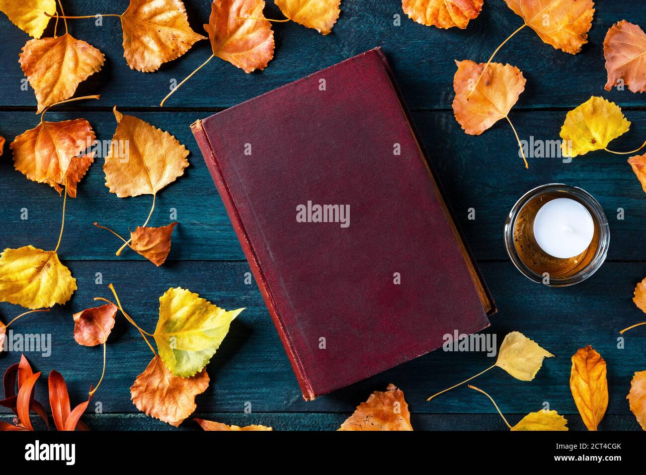 Maquette de couverture de livre d'automne, un vieux livre avec des feuilles  d'automne, plan de dessus plat tourné sur un fond en bois bleu foncé Photo  Stock - Alamy