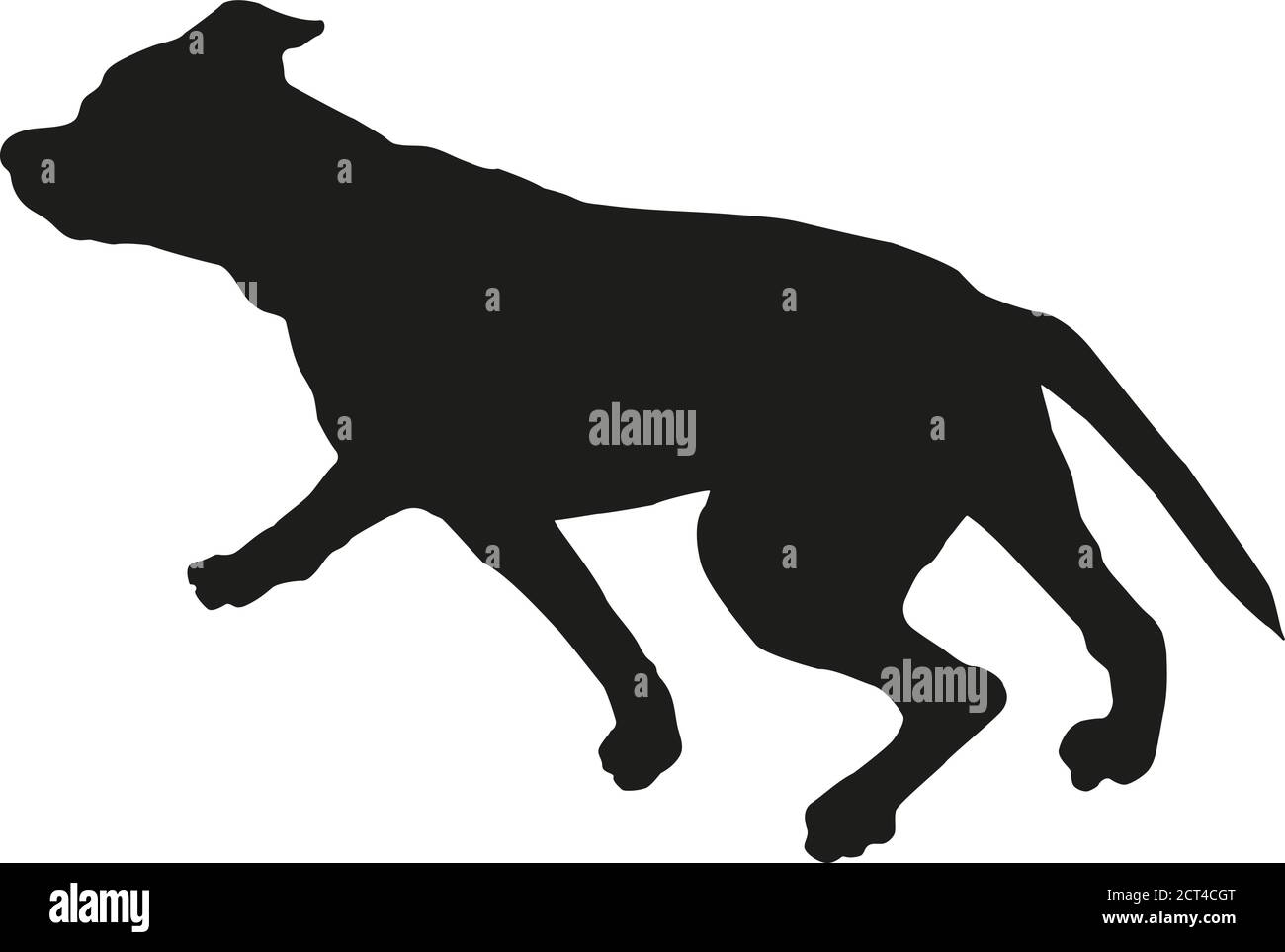 Silhouette de chien noire. Running american staffordshire terrier chiot. Isolé sur un fond blanc. Illustration vectorielle. Illustration de Vecteur