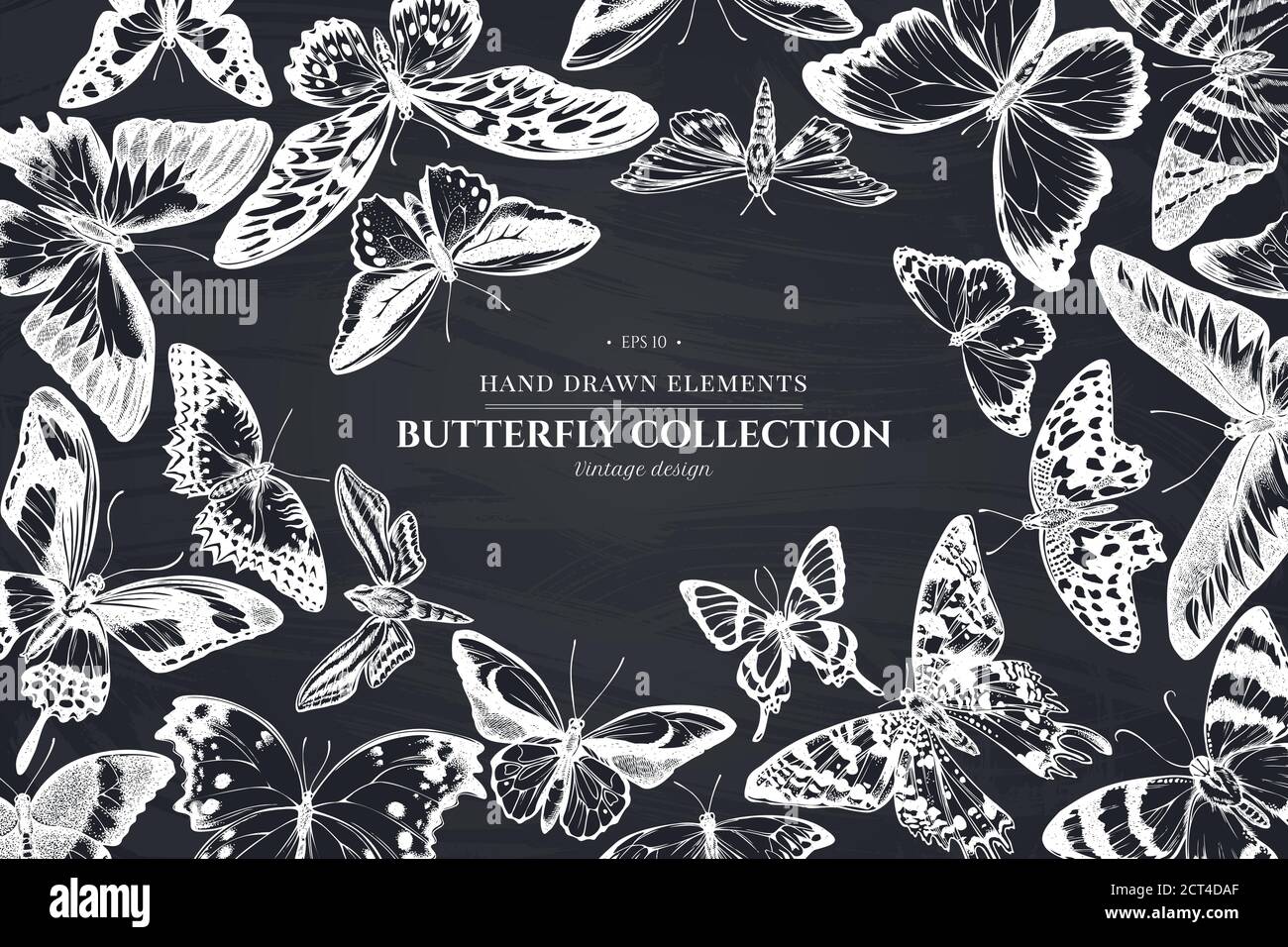 Design monochrome avec craie à la pointe orange, queue d'allowtail émeraude, tigre Uni, aile d'oiseaux de rajah brooke, papillio torquatus, papillon à queue d'allowtail Illustration de Vecteur