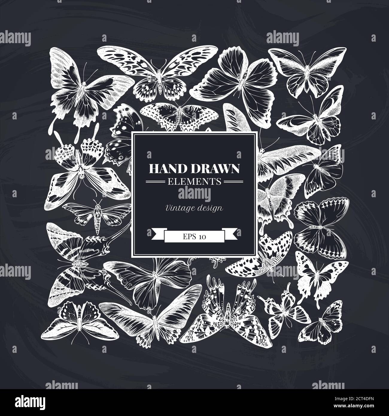 Motif carré avec craie à la pointe orange, queue d'allowtail émeraude, reines de la jungle, tigre Uni, ailes d'oiseaux de rajah brooke, papilio torquatus, queue d'allowtail Illustration de Vecteur