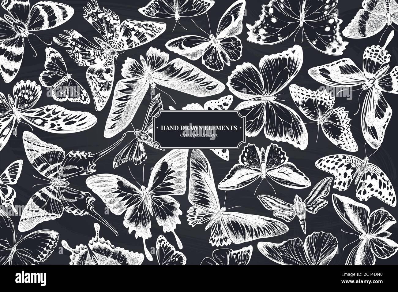 Design monochrome avec craie à la pointe orange, queue d'allowtail émeraude, reines de la jungle, tigre Uni, ailes d'oiseaux de rajah brooke, papillio torquatus Illustration de Vecteur