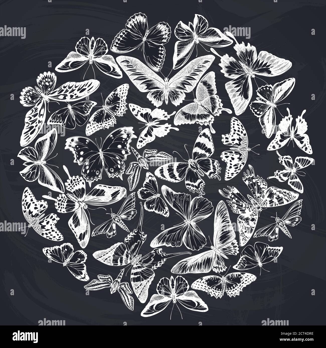 Design rond avec craie à la pointe orange, queue d'allowtail émeraude, reines de la jungle, tigre Uni, ailes d'oiseaux de rajah brooke, papillio torquatus, queue d'allowtail Illustration de Vecteur