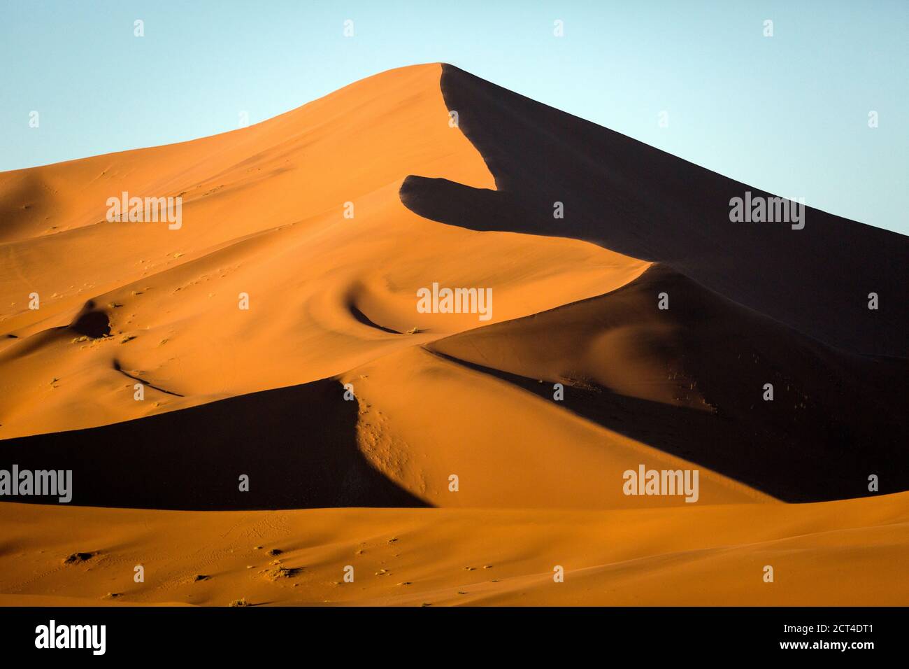 Dunes de sable rouge sous la lumière du matin à Sossusvlei, Namibie. Banque D'Images