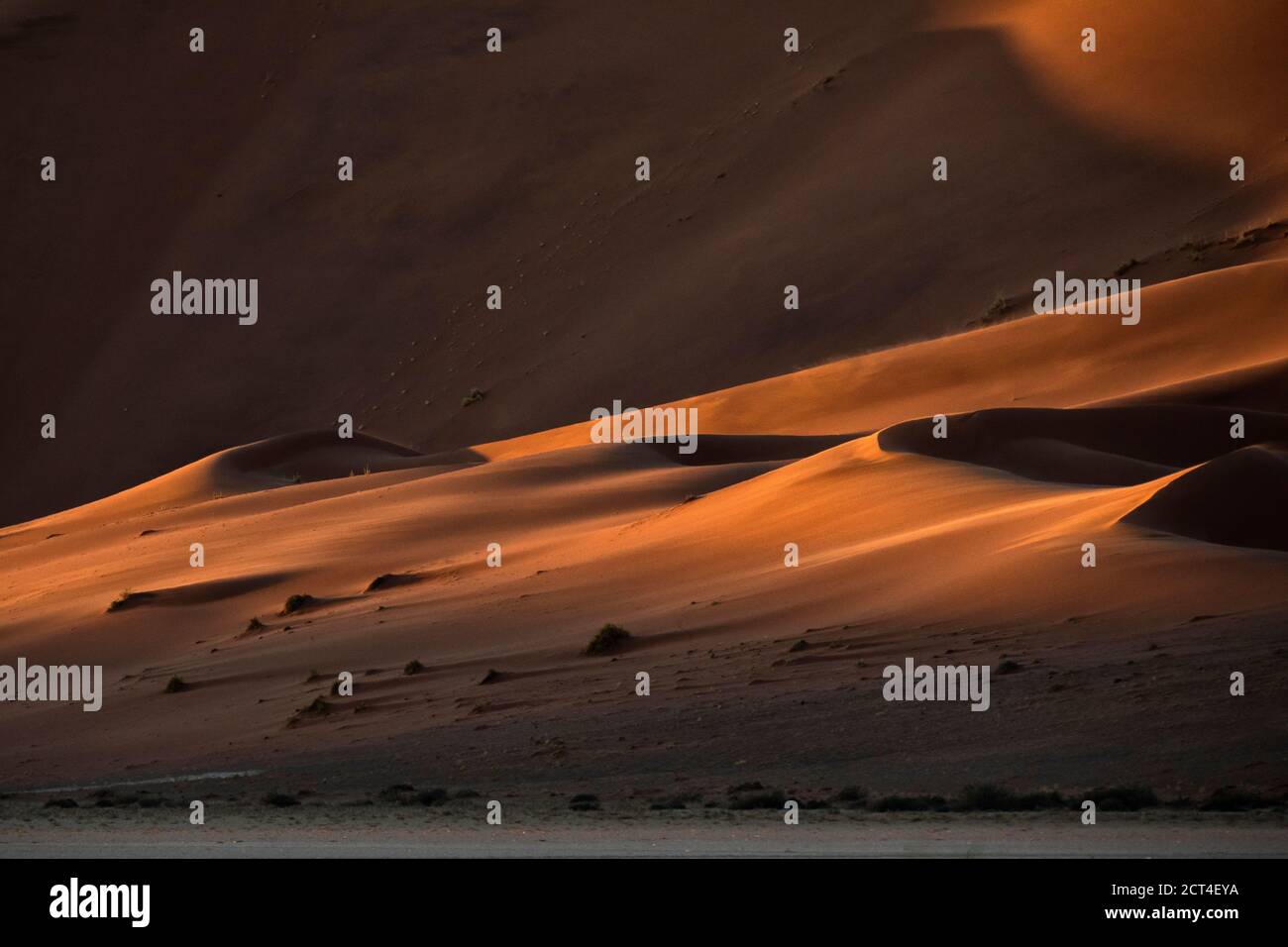 Résumé contrasté des dunes de sable rouge riches en oxyde dans la grande mer de sable de Namibie. Banque D'Images