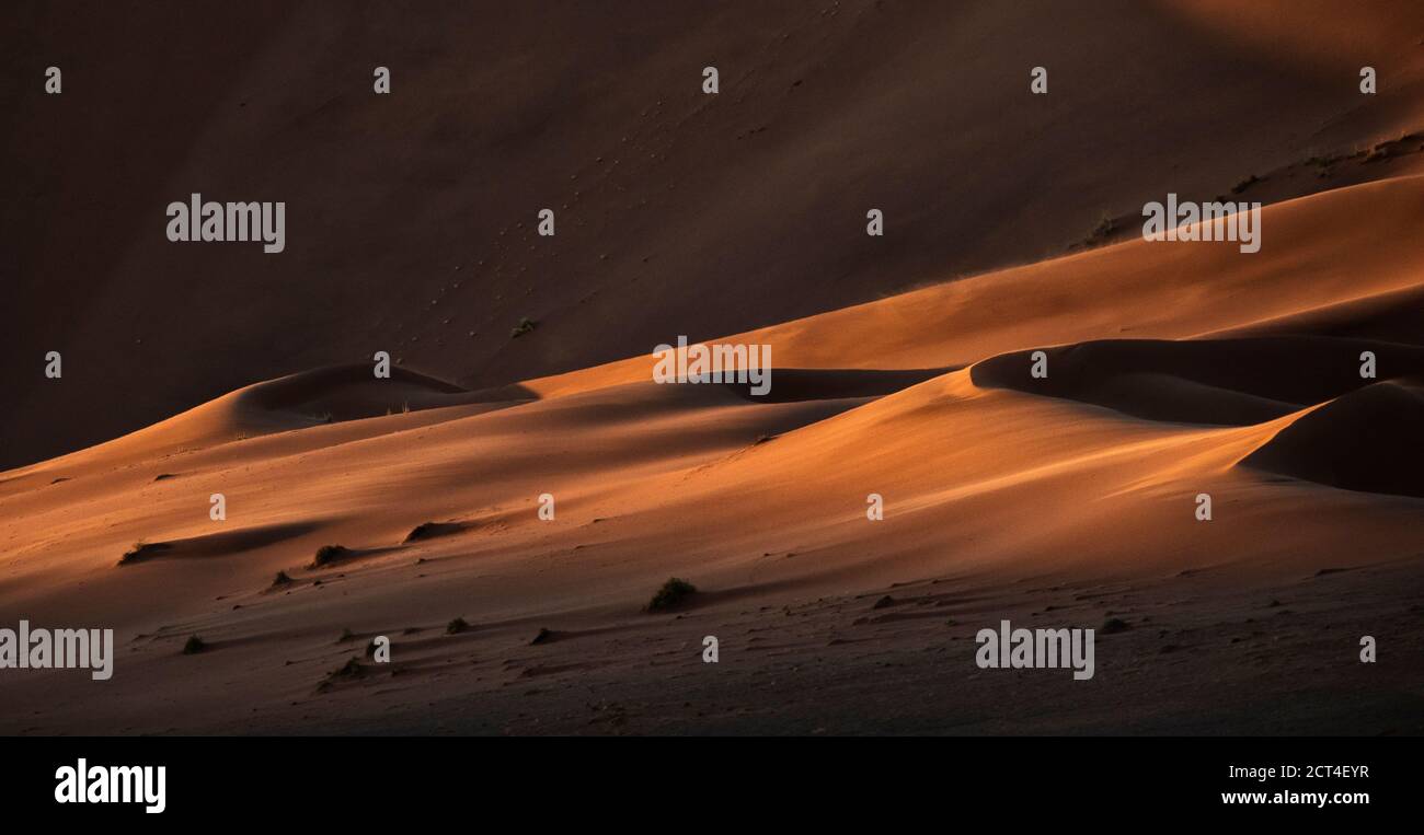Résumé contrasté des dunes de sable rouge riches en oxyde dans la grande mer de sable de Namibie. Banque D'Images