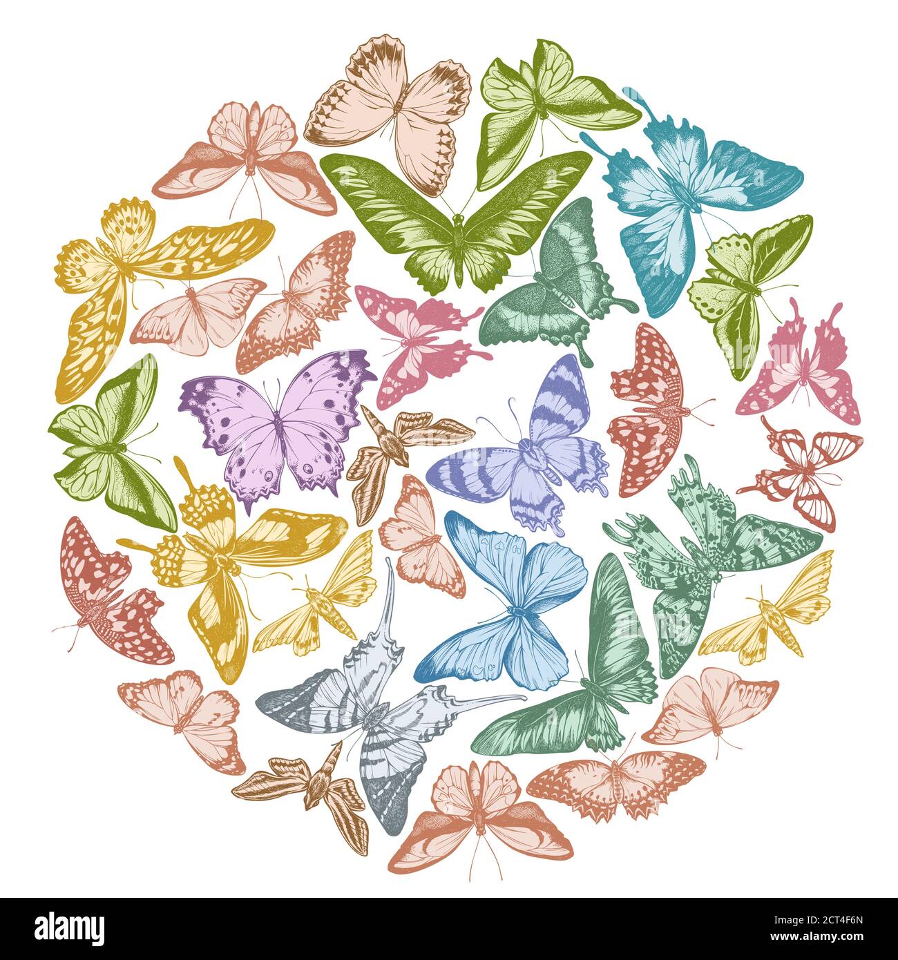 Design rond avec pointe orange pastel, queue d'allowtail émeraude, reines de la jungle, tigre Uni, aile d'oiseaux de rajah brooke, papillio torquatus, queue d'allowtail Illustration de Vecteur