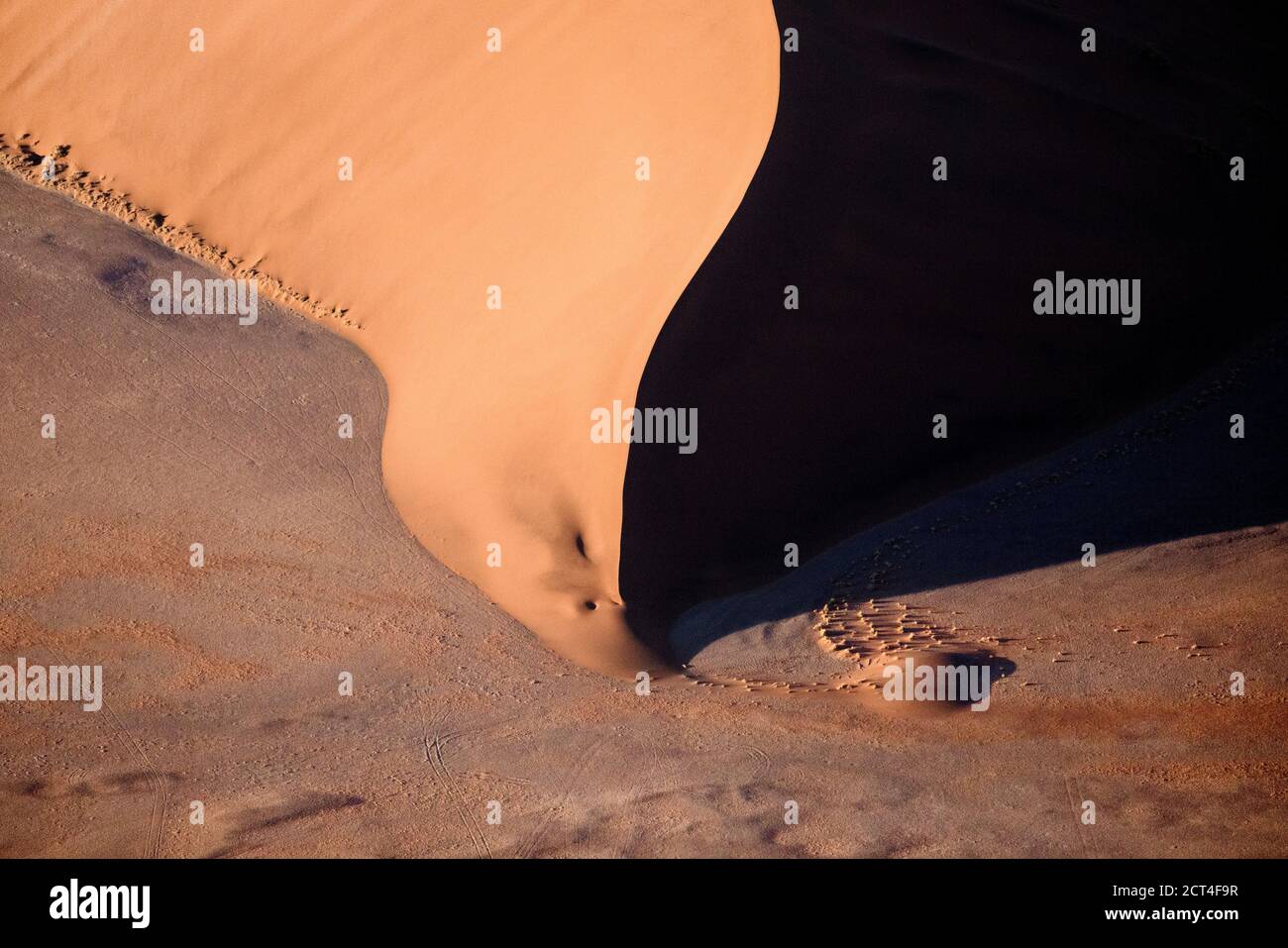 Résumé contrasté des dunes de sable rouge riches en oxyde dans la grande mer de sable de Namibie. Banque D'Images