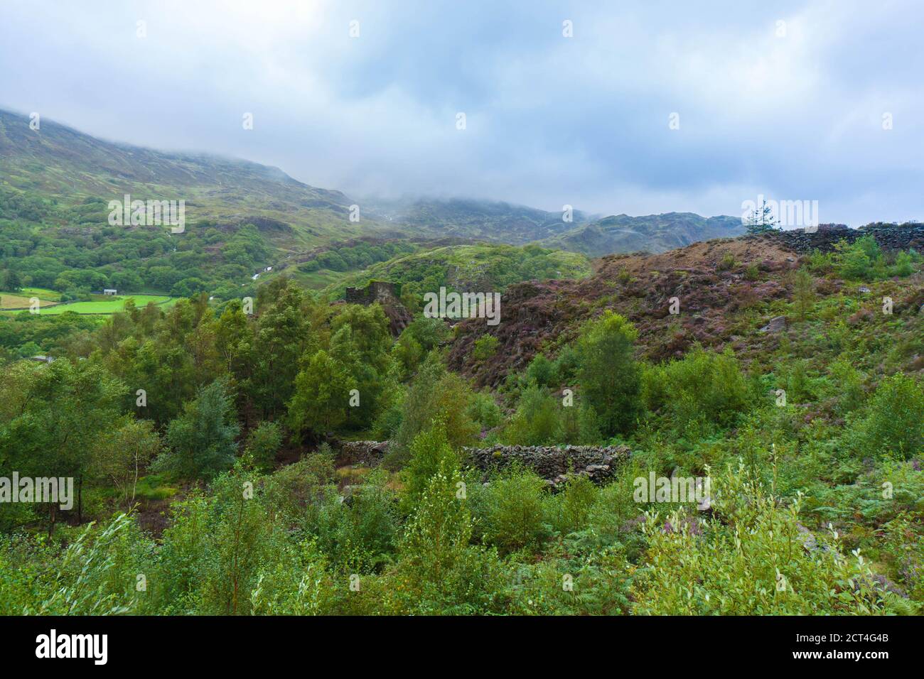 Des ruines de pierre demeurent à la mine de cuivre Sygun, Beddgelert North Wales UK. Août 2020 Banque D'Images