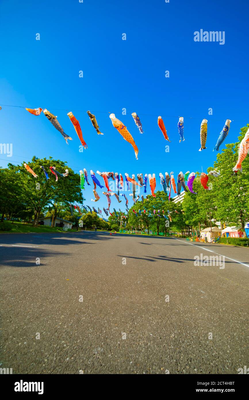 Carpe streamer dans le parc de Tokyo ensoleillé en journée Banque D'Images