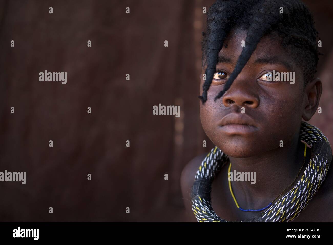Une femme Himba de Namibie. Banque D'Images