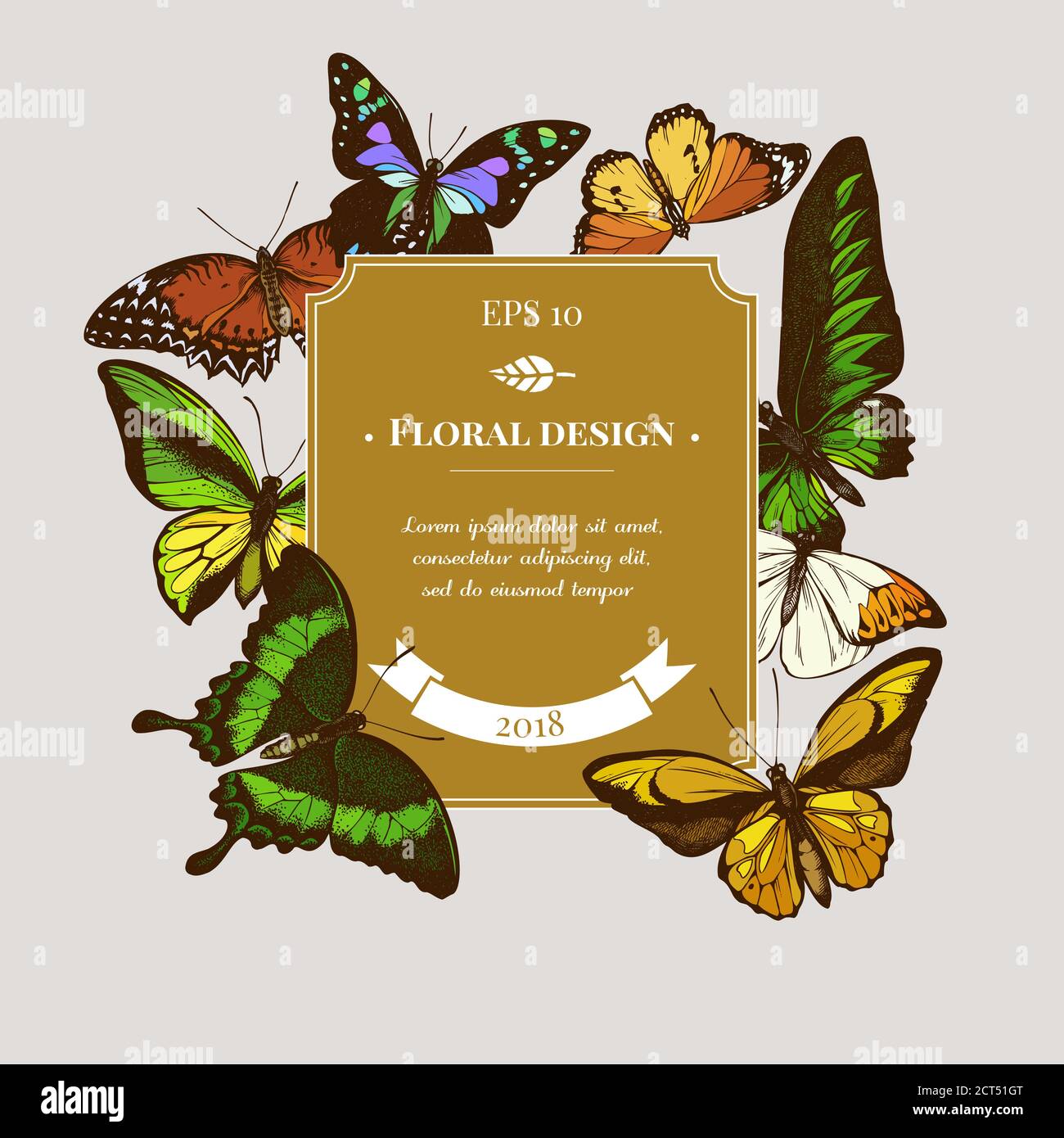 Motif badge avec laçage rouge coloré, aileron d'or de wallace, queue à pois pourpre, pointe orange, queue à émeraude, tigre Uni Illustration de Vecteur