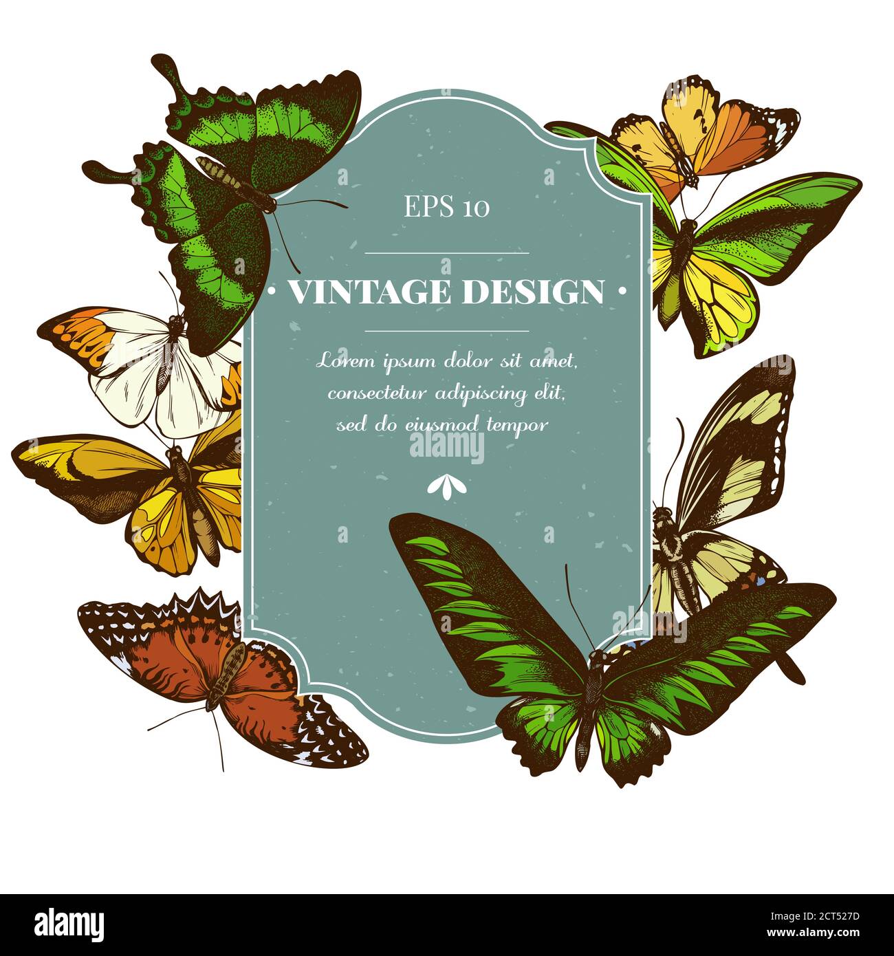 Badge avec pointe orange colorée, queue d'allowtail émeraude, reines de jungle, tigre Uni, aile d'oiseaux de rajah brooke, papillio torquatus, queue d'allowtail Illustration de Vecteur