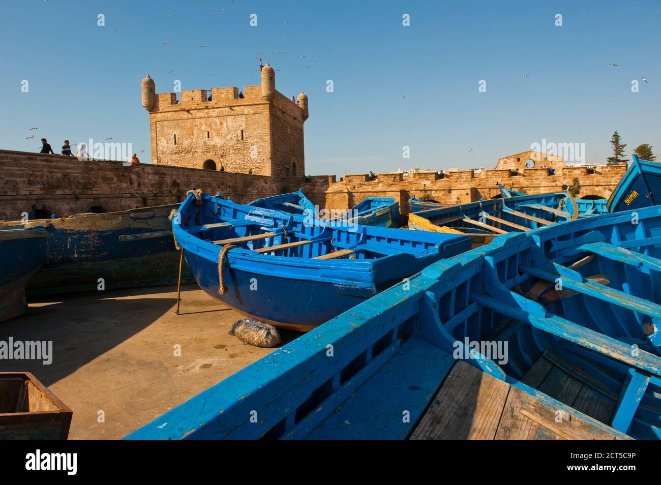 Bateaux de pêche bleu à Essaouira ancienne Mogador, Port, Maroc, Afrique du Nord, Afrique Banque D'Images