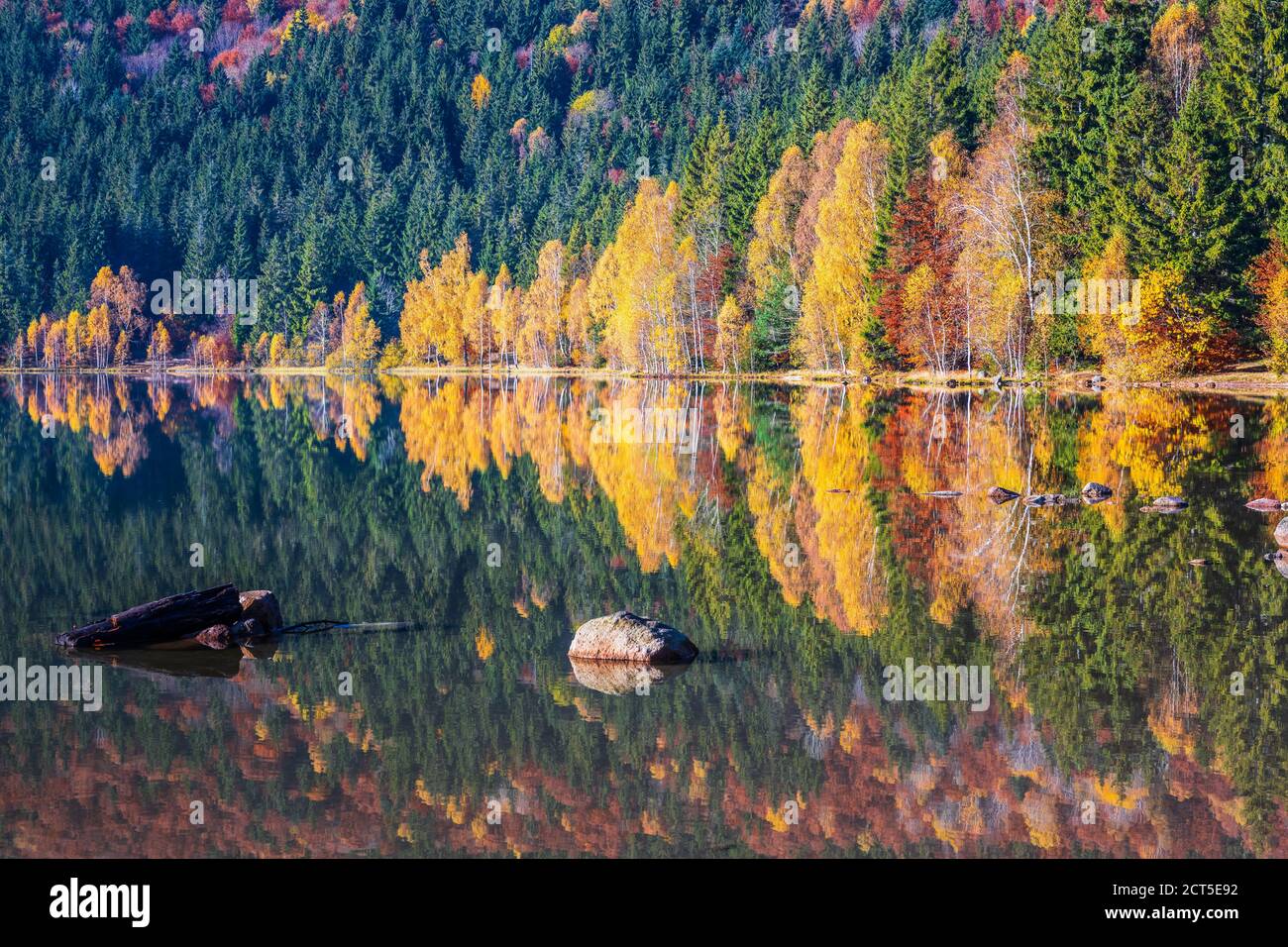 Comté de Harghita, Roumanie. Paysage d'automne au lac de Saint Anne (SF Ana). Banque D'Images