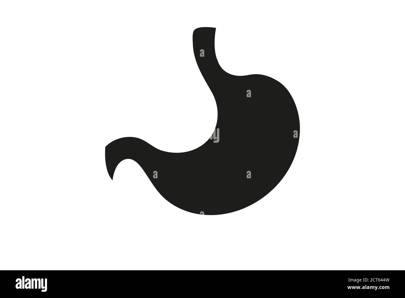 Logo vecteur estomac humain sur fond blanc Illustration de Vecteur