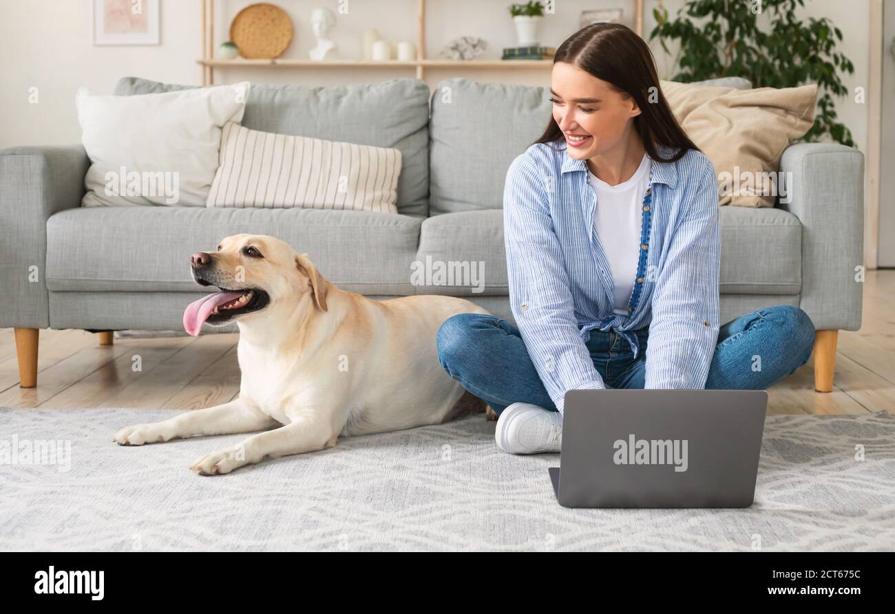 Jeune femme à la maison utilisant un ordinateur portable regardant le chien Banque D'Images
