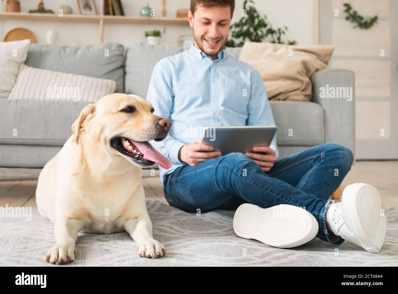 Homme à la maison avec tablette numérique et labrador Banque D'Images