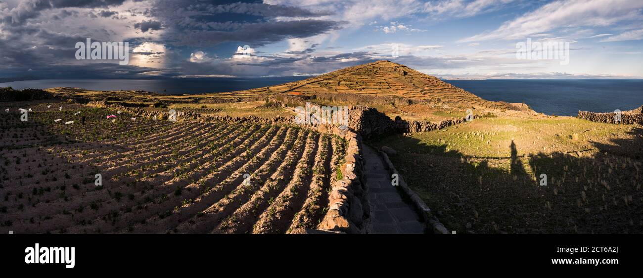 Île Amantani (Isla Amantani) et terres agricoles, lac Titicaca, Pérou, Amérique du Sud Banque D'Images