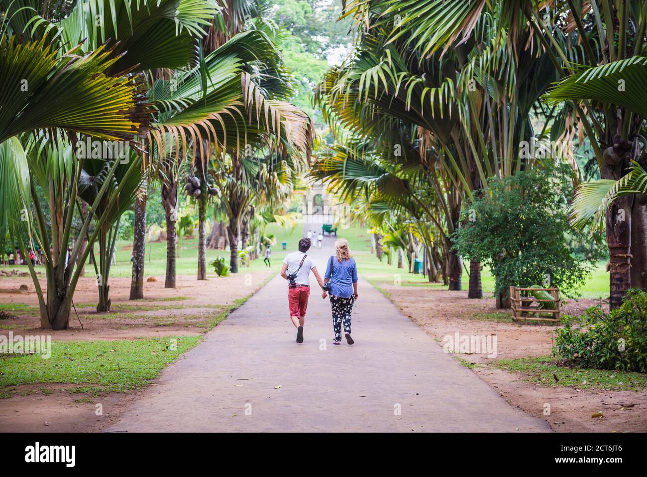 Couple de vacances visiter les Jardins botaniques royaux de Kandy, Kandy, Kandy, Sri Lanka, Asie Banque D'Images