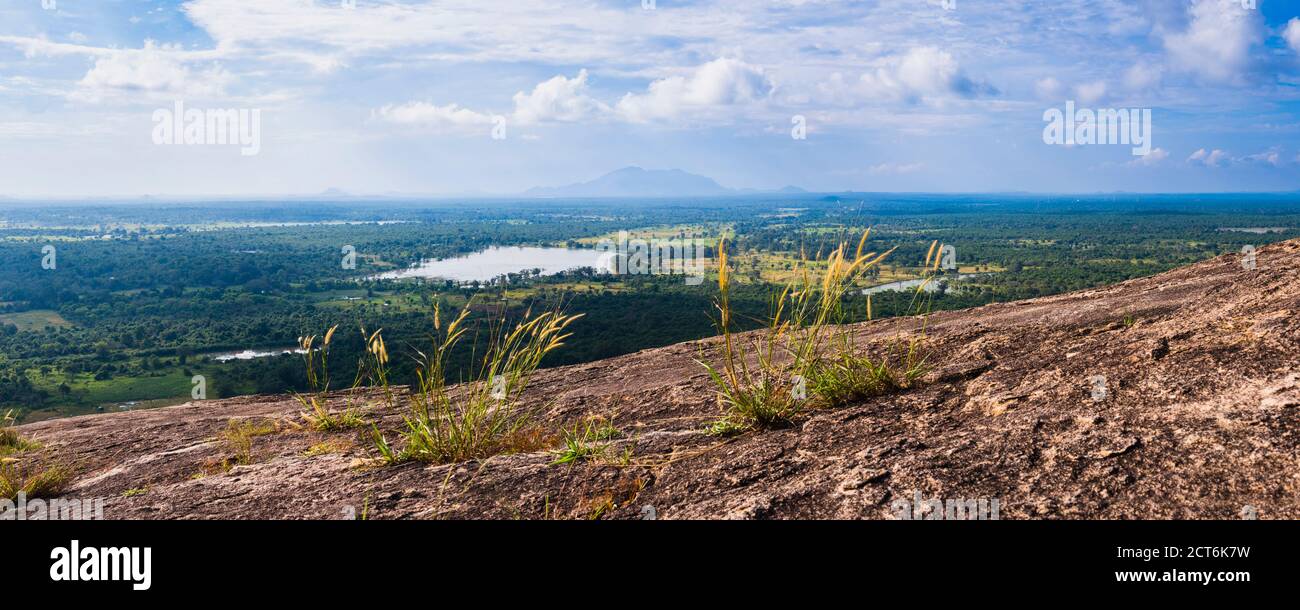 Sri Lanka paysage, pris de Pidurangala Rock, North Central Province, Sri Lanka, Asie Banque D'Images