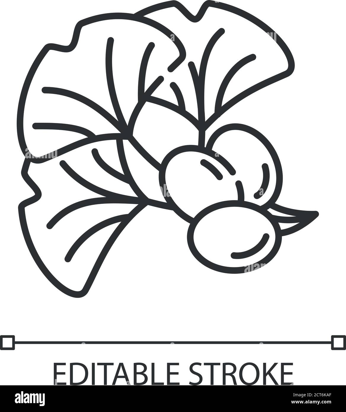 Ginkgo biloba icône linéaire Illustration de Vecteur