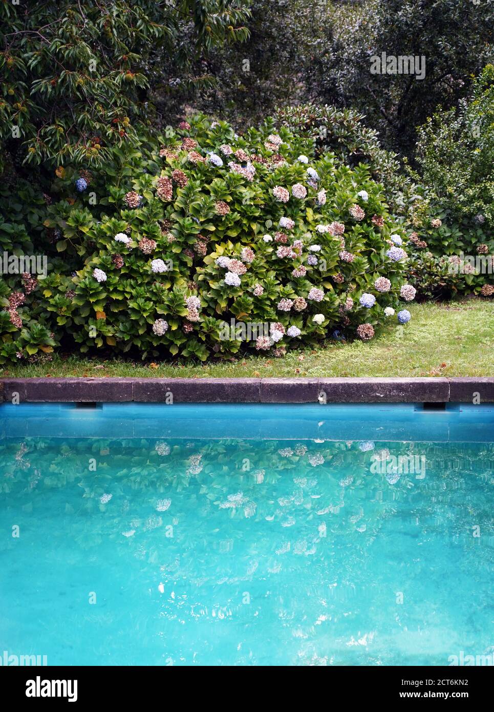 piscine dans le jardin Banque D'Images