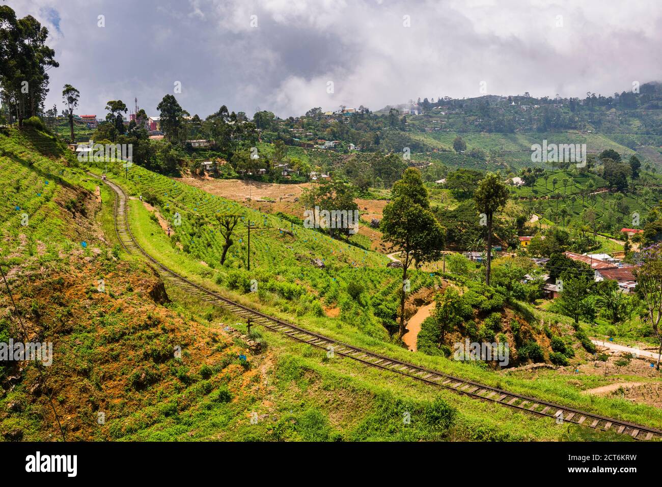 Haputale, vue sur les plantations de thé sur un plateau dans le Sri Lanka Hill Country, District de Nuwara Eliya, l'Asie Banque D'Images