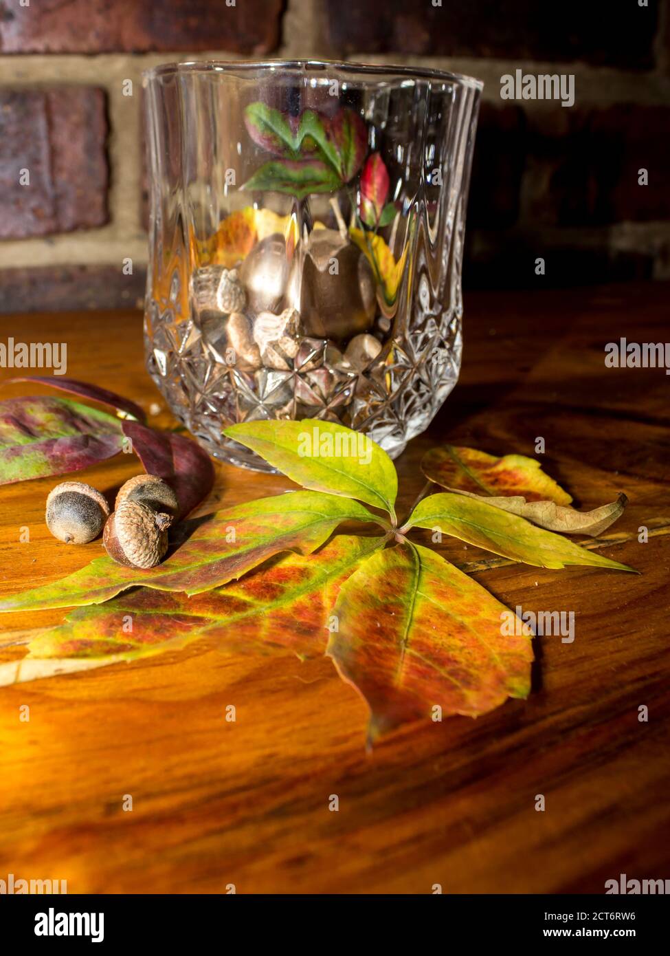 Un cristal, sans pied, verre, avec de petites glands et des feuilles d'automne sur un plan d'examen en bois Banque D'Images