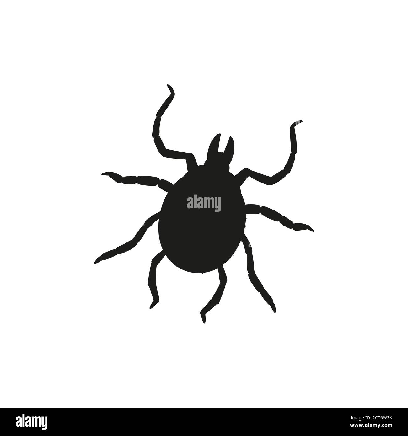 Coléoptère de style plat tendance isolé. Illustration du vecteur de stock. Illustration de Vecteur