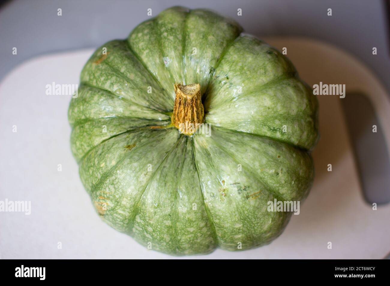 Citrouille mûre, verte entière à l'automne sur la coupe Banque D'Images
