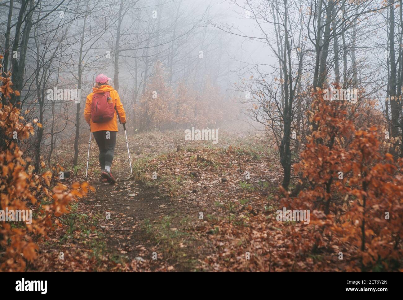 Habillé orange blouson brillant jeune femme routard marchant par le chemin touristique en utilisant des bâtons de trekking dans la forêt brumeuse d'automne. Des personnes actives et l'autum Banque D'Images