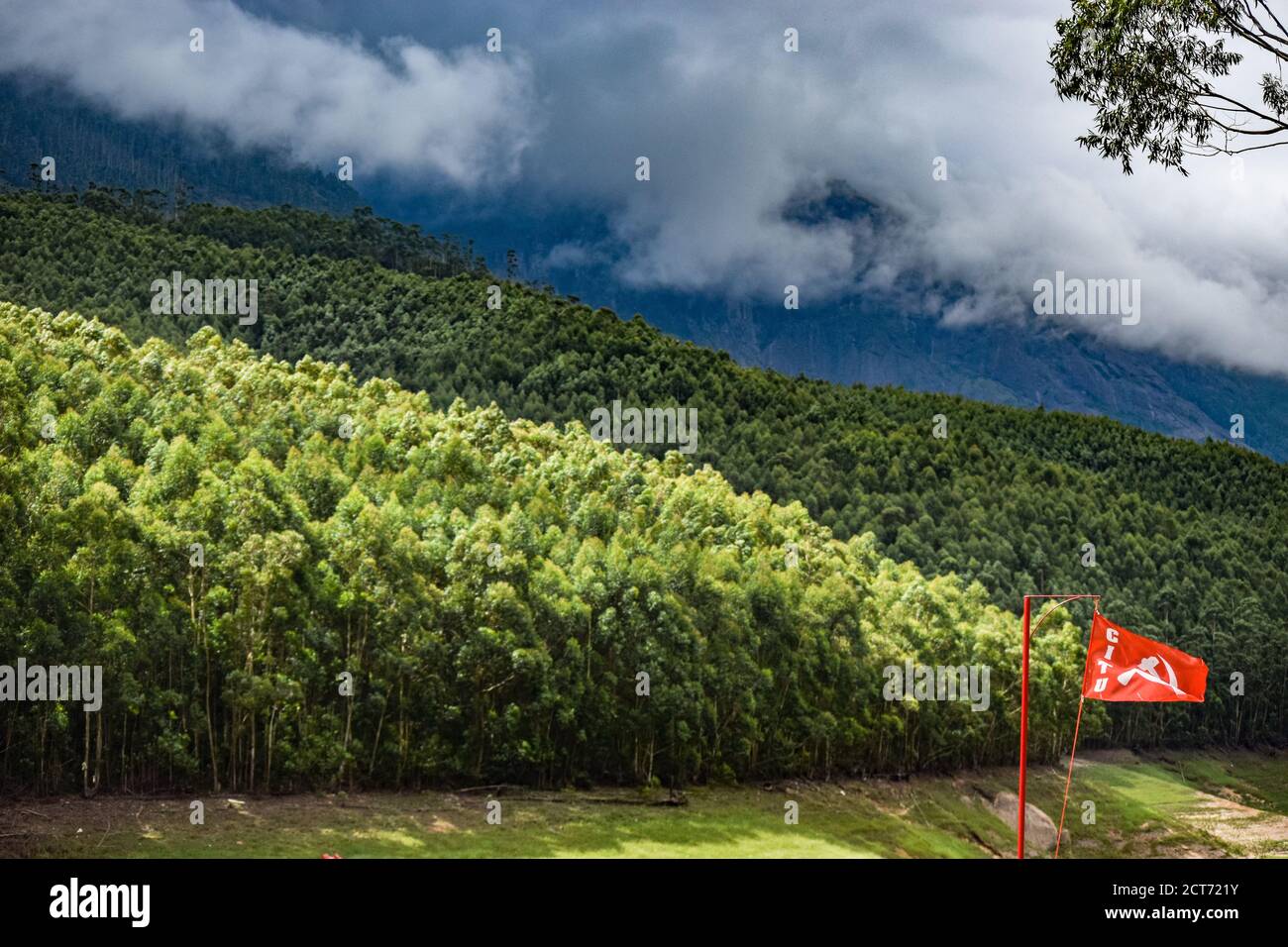 Une vue fascinante de la forêt, des montagnes et du ciel, le tout dans une seule photo provient du « point d'écho » de Kerala Munnar. Banque D'Images