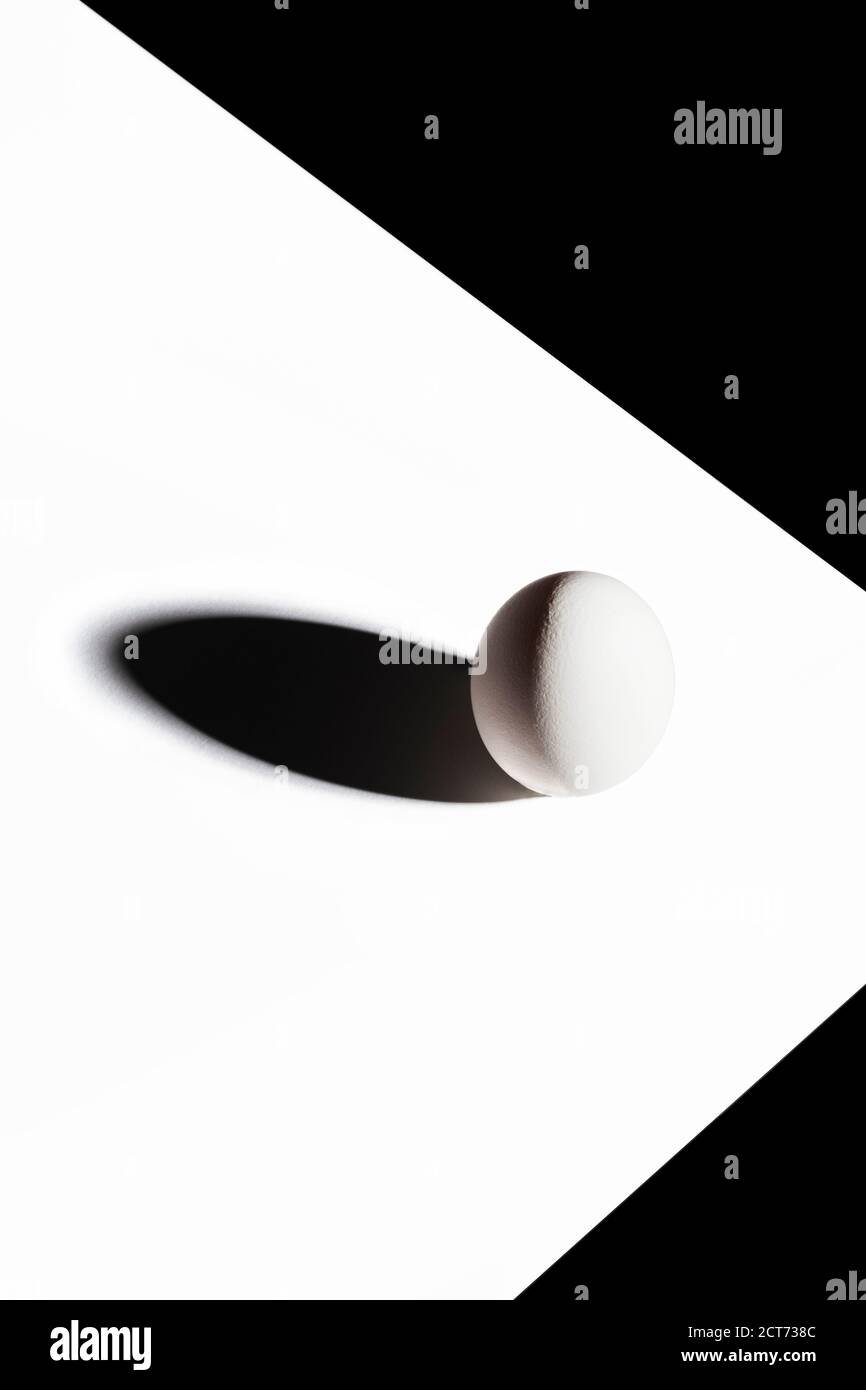 œuf, éggy, coquillage, œuf blanc, œuf abstrait, oeufs, vie, poulets, blanc, ovale, la vie en oeuf, noir et blanc, nutritif, santé, sain, faim. Banque D'Images