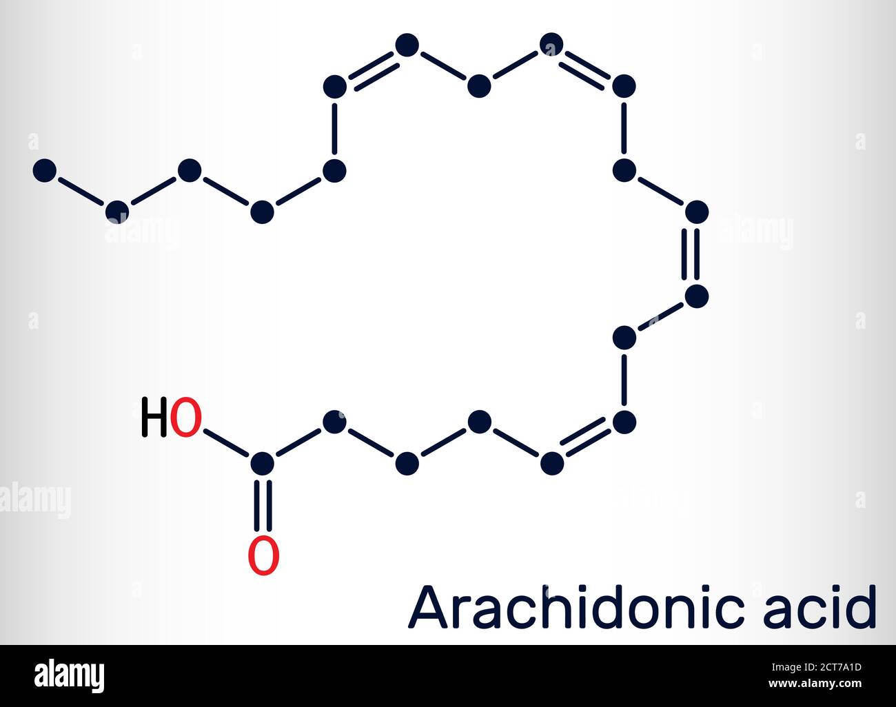 Acide arachidonique, AA, molécule ARA. Il s'agit d'acide gras oméga-6 non saturé, précurseur de la biosynthèse des prostaglandines, des thromboxanes et des leucotriènes. Illustration de Vecteur