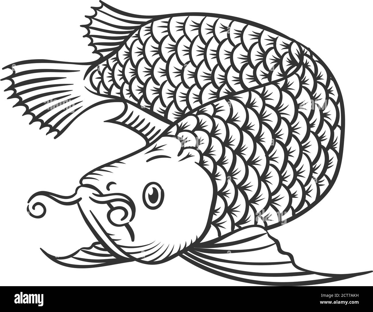 Poisson à l'arowana dessiné à la main. Illustration vectorielle. Illustration de Vecteur