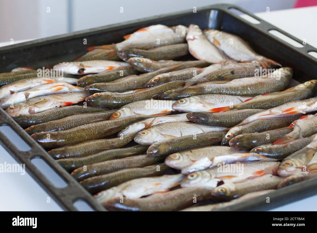 Plaque de cuisson avec du poisson de rivière avant de sécher au four. Le  poisson est en rangées, tiré de près Photo Stock - Alamy