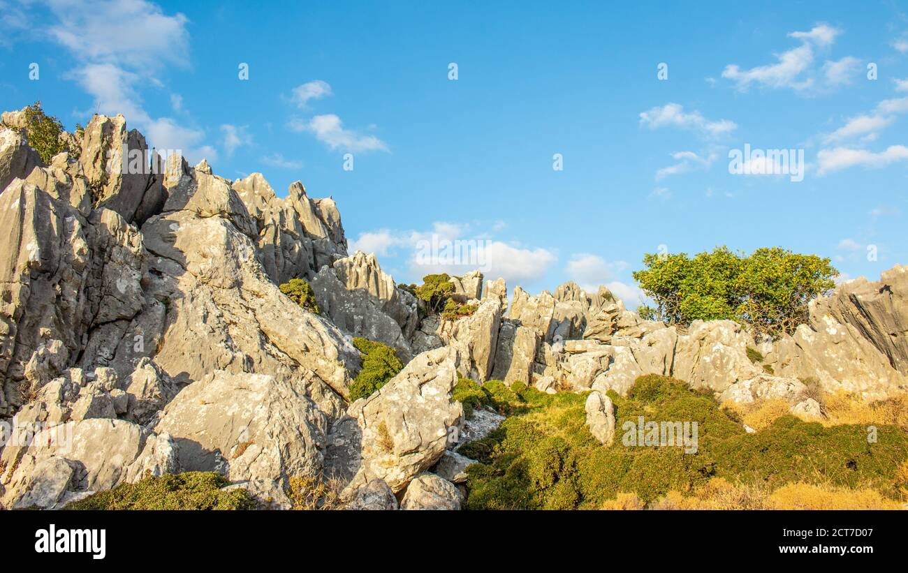 Paysage avec montagnes et arbre sur eux. Rochers avec arbres et ciel bleu. Grèce, Crète. Banque D'Images