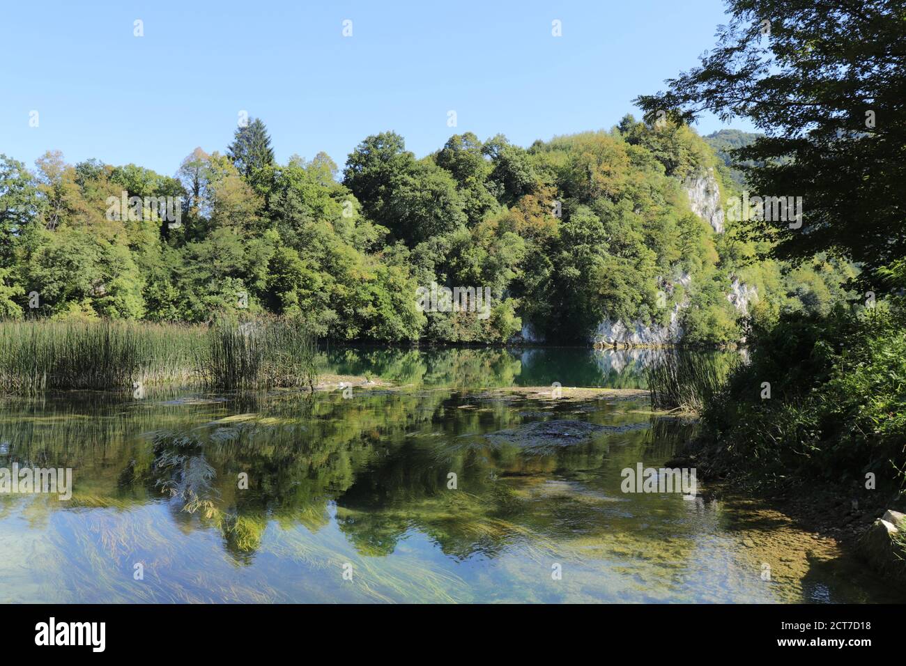Calme zone verte du lac de Pliva près de la ville de Jajce en Bosnie-Herzégovine Banque D'Images