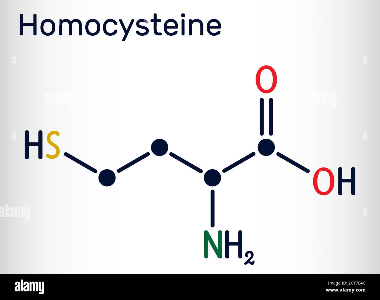 Molécule de biomarqueur d'homocystéine. Il s'agit d'un acide aminé non protéinogène contenant du soufre. Formule chimique du squelette. Illustration vectorielle Illustration de Vecteur