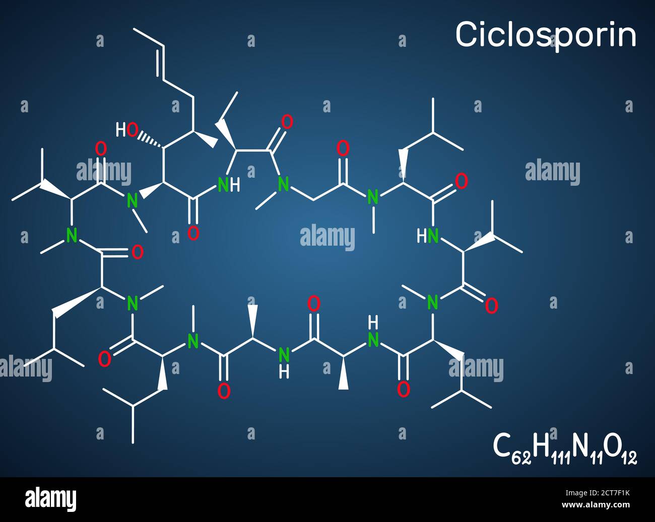 Ciclosporine, cyclosporine, molécule de cyclosporine. Il a des propriétés immunomodulatrices, prévenir le rejet de greffe d'organe, traiter inflammatoire, autoimmun Illustration de Vecteur