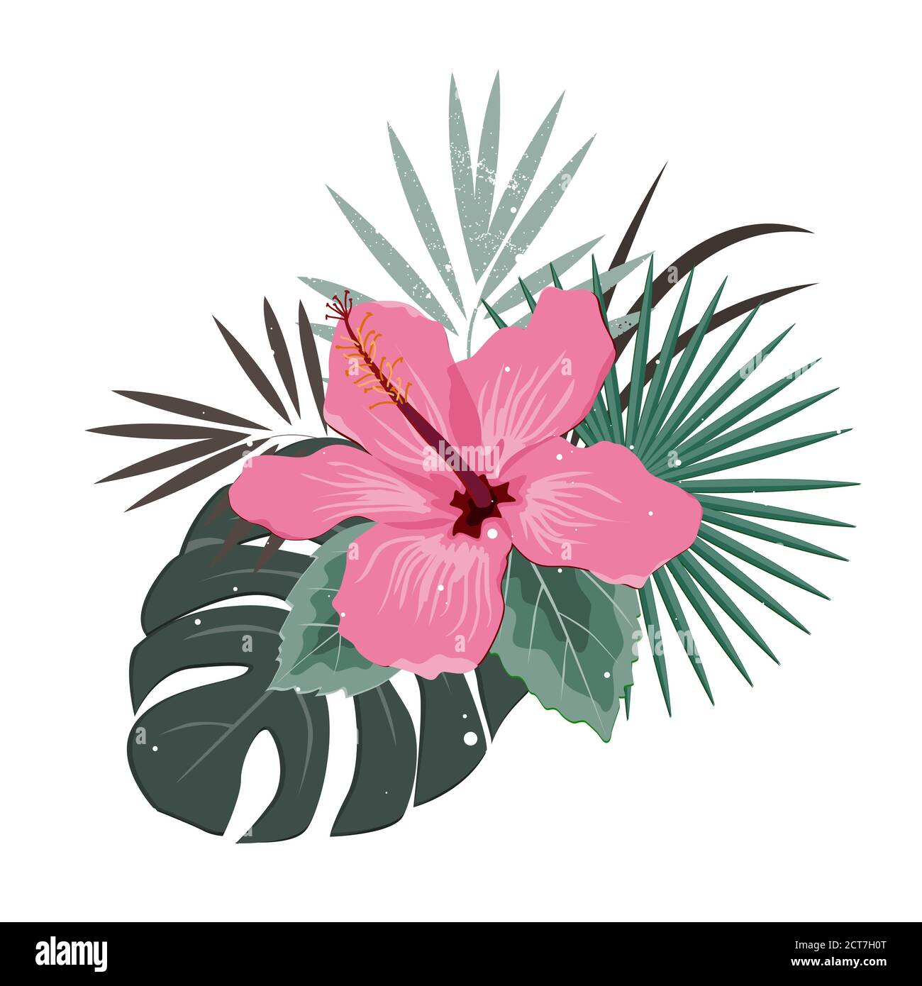 Composition de bouquet avec fleur d'hibiscus rose et feuilles de palmier, illustration vectorielle plate. Plantes exotiques tropicales d'Hawaï isolées sur blanc, pastel Illustration de Vecteur Composition de bouquet avec fleur d'hibiscus rose et feuilles de palmier, illustration vectorielle plate. Plantes exotiques tropicales d'Hawaï isolées sur blanc, pastel Illustration de Vecteur